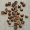 2 cabochons pierre naturelle jaspe beige noir rond 10mm