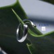 50 anneaux simple  acier inoxydable rond  6x1mm