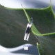 50 anneaux double  acier inoxydable rond  6x1mm
