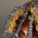30 perles boulier en verre facetté gris bleuté 4x3mm