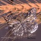 4 estampes acier inoxydable grand papillon  argenté 38x25mm