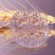 2 estampes acier inoxydable ronde arabesque esprit oriental argenté 34mm