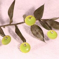 4 sequins rond émaillé vert pomme  laiton 8mm