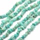 perles de pierre naturelle chips amazonite verte  (320perles) 8x5mm