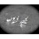 10 embouts laiton couleur argent clair 3mm diamètre interne
