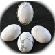 x1 cabochon pierre de Howlite blanche veiné gris  ovale  18x25mm
