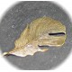 2 breloques feuilles metal couleur bronze bronze 59x26mm