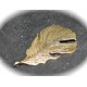 2 breloques feuilles metal couleur bronze bronze 59x26mm