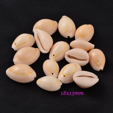 coquillage naturel cauris 18x13mm x20