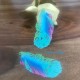 2 estampes plume  filigrane arc en ciel 60x25mm