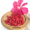 20 perles jaspe impérial rouge  palet plat 6x4mm