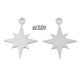 2 pendentifs acier inoxydable étoile du nord 28x20mm