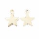 10 Etoiles acier inoxydable or 10x8mm