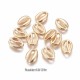 4 Coquillages Cauris perle intercalaire laiton or 24kt 13.5x10mm